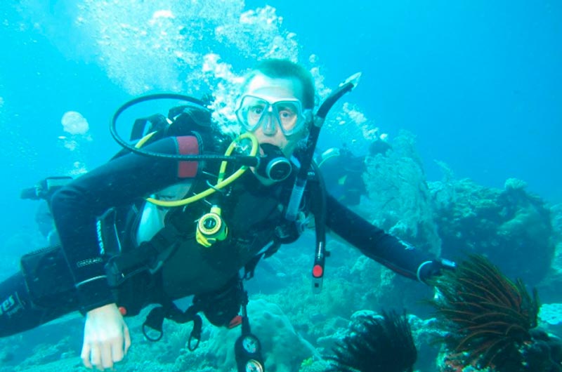 Купить диплом океанолога Купить диплом океанолога